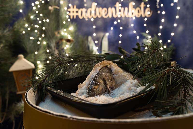 advent-u-bote-bojana-gregorić-ana-begić-tahiri-bota-šare-lifestyle-modnialmanah