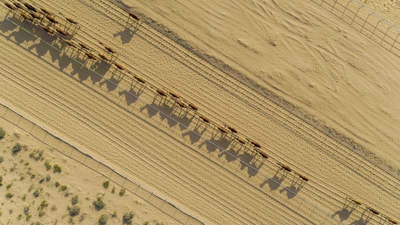 The-Emirates-From-Above-national-geographic-lifestyle-modnialmanah