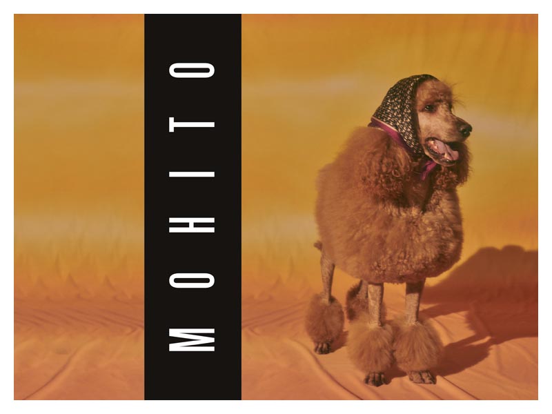 mohito-pudl-fashion-moda-modnialmanah