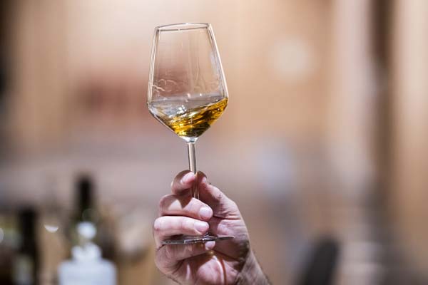 esplanade-zagreb-hotel-En-primeur-lifestyle-vino-wine-modnialmanah