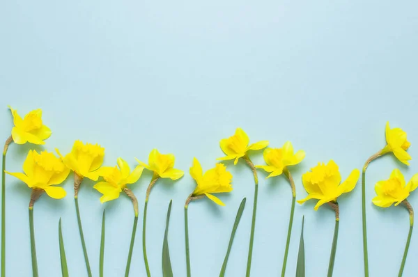 dan-narcisa-narcis-modnialmanha-lifestyle