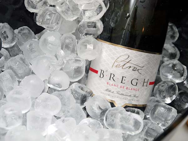 petrač-vina-modnialmanah-dan-žena