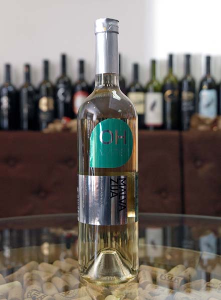 oh-vines-vinski-klub-saša-bernobić-tomo-jakopović-eno-gastro-modnialmanah