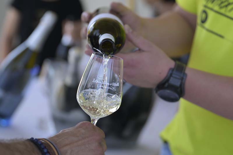 Istria-Wine-and-Walk-2022-lifestyle-gastro-enogastro-modnialmanah