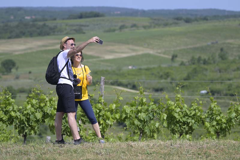 Istria-Wine-and-Walk-2022-lifestyle-gastro-enogastro-modnialmanah