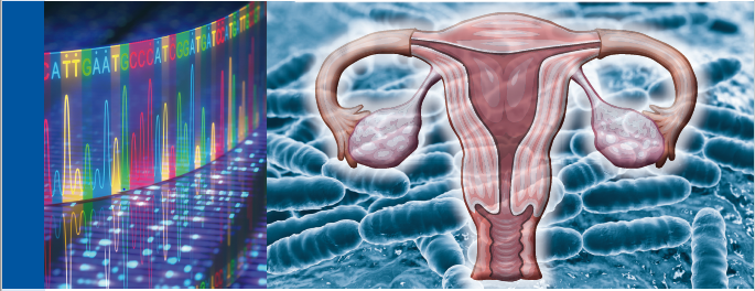 proimmun-crijeva-zdravlje-zdrav-život-modnialmanah-menopauze
