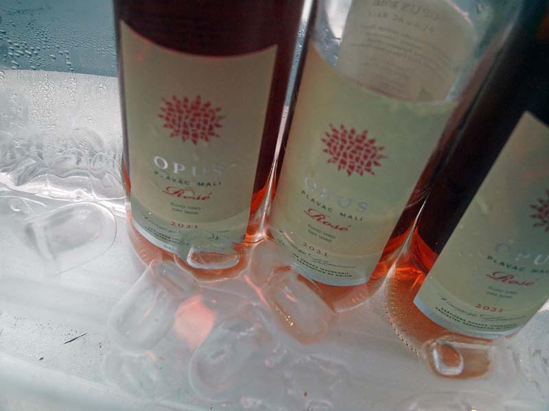 diWine-Bar-gastro-vino-wine-eno-gastro-bar-modnialmanah