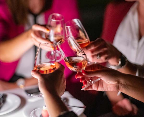 Ružičasti-nokturno-u-plemićkom-ruhu-lifestyle-dvorac-janković-modnialmanah