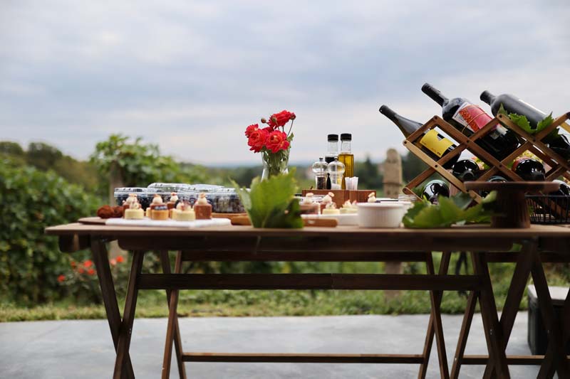 via-vino-festival-modnialmanah-voštinić-klasnić-ivana-alilović-turistička-zajednica-zagrebačke-županije
