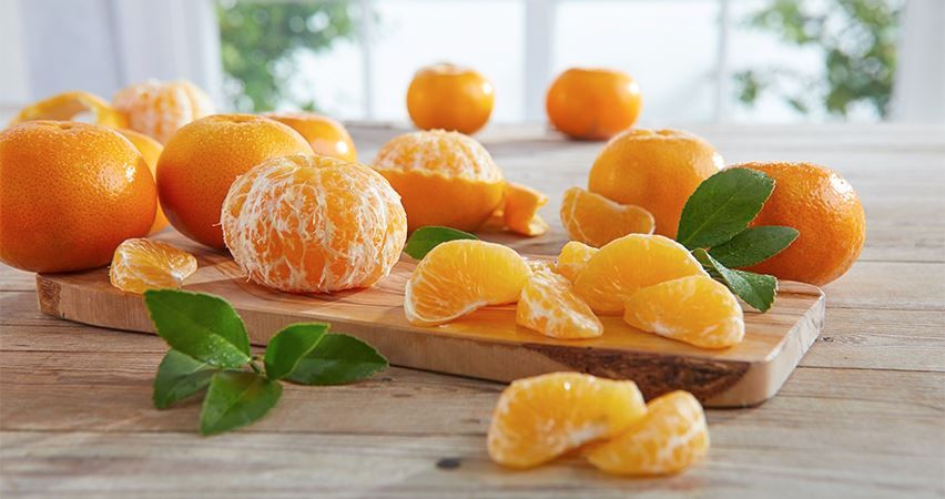 mandarine-citrusi-sezona-zdravlje-modnialmanha