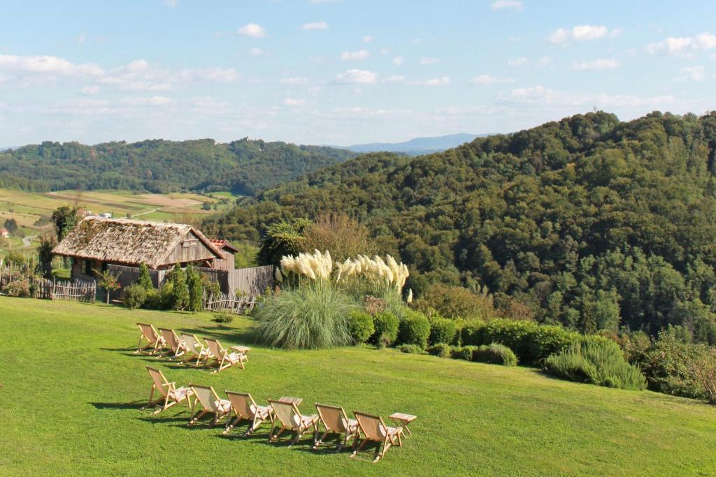 lifestyle-martinje-vino-modnialmanah-booking-com