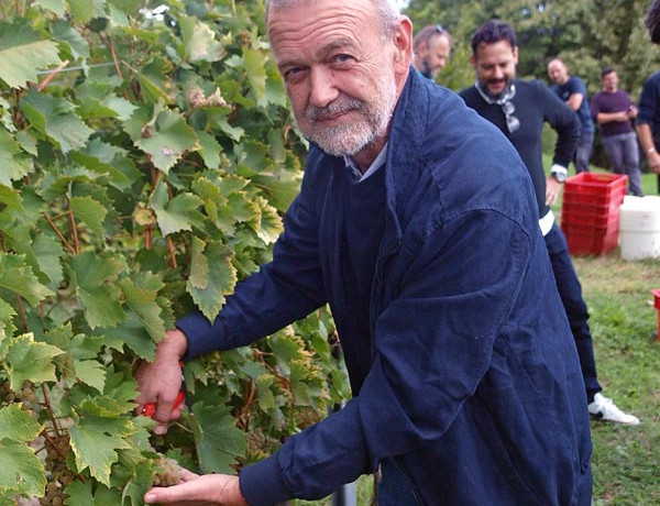ivo-kozarčanin-bakhov-sin-ivine-vinske-priče-modnialmanah-definicije-vina