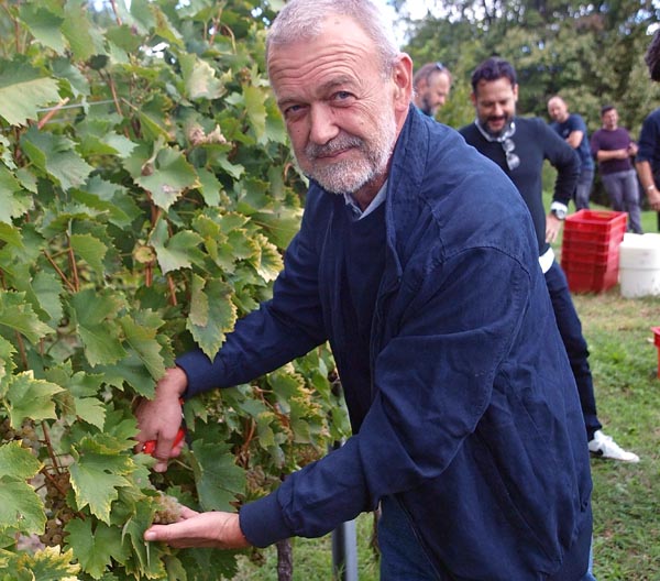 ivo-kozarčanin-bakhov-sin-ivine-vinske-priče-modnialmanah-definicije-vina