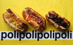polidog-wok-by-matija-modnialmanha-gastro