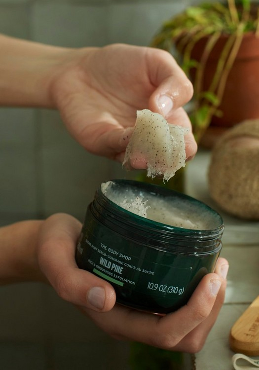 the-body-shop-wild-pine-beauty-modnialmanah