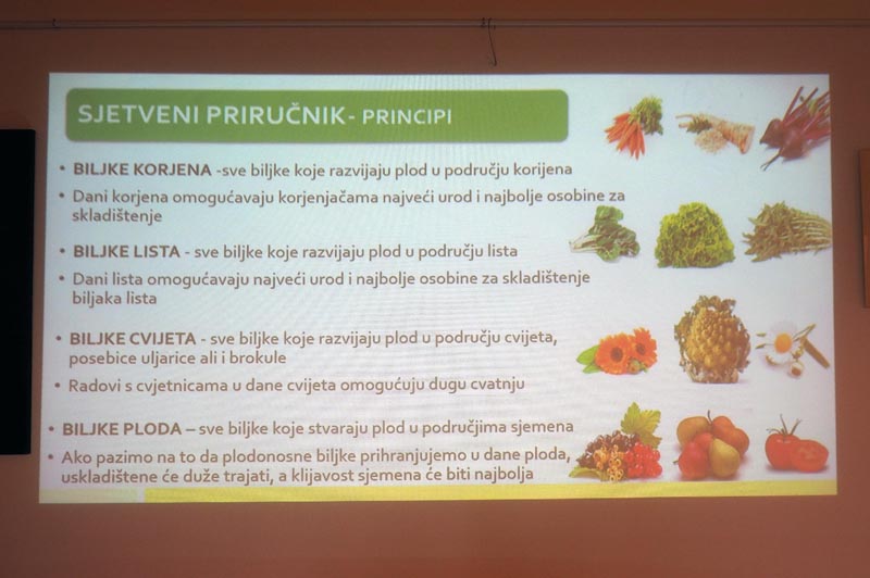 rudolf-steiner-međimurje-dijana-posavec-modnialmanah-lifestyle-priroda-poljoprivreda