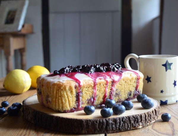 gastro-volim-borovnice-kolač-peteranec-modnialmanah