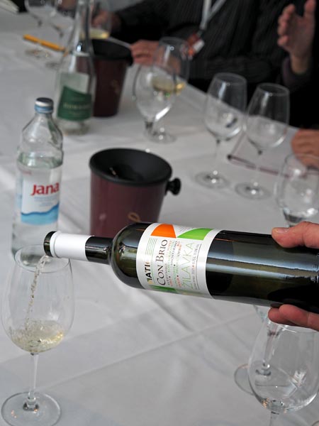 blaž-žilavka-blatina-vinokom-ivo-kozarčanin-tomo-jakopović-eno-gastro-modnialmanah