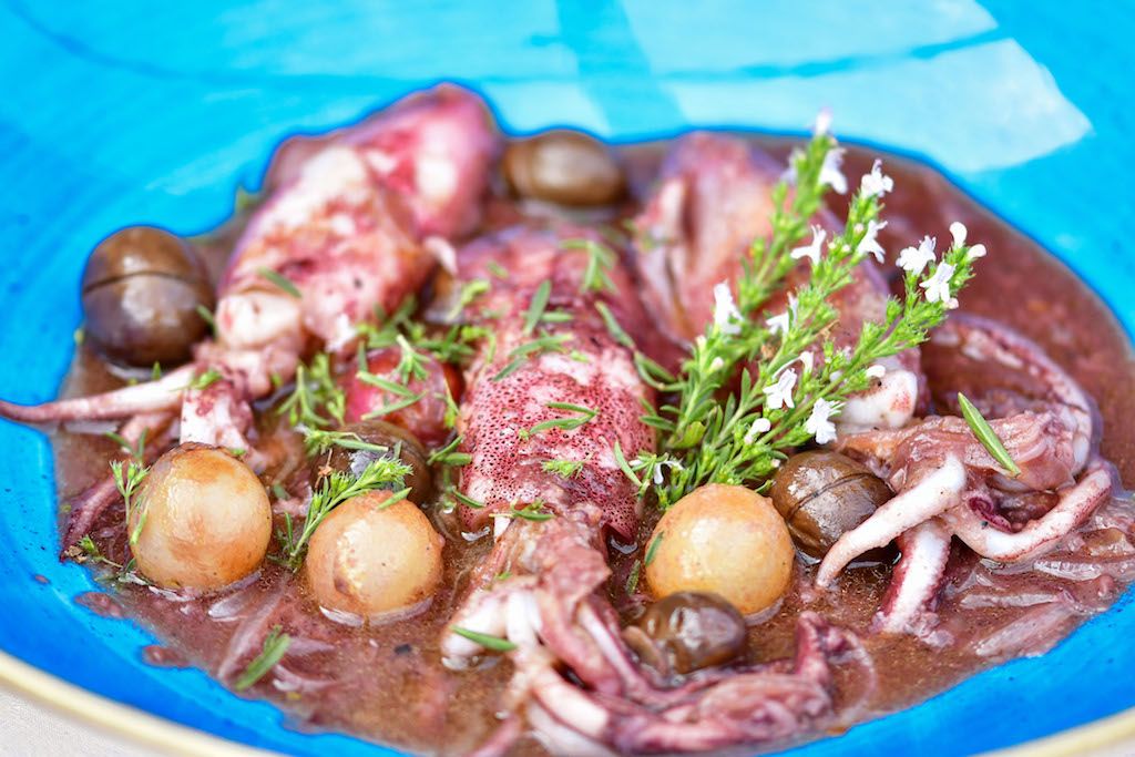gastro-bota-šare-recept-siječanj-2023-modnialmanah
