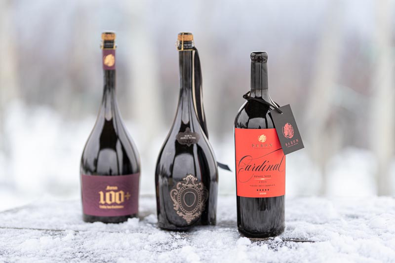 gastro-vino-barun-barundić-modnialmanah