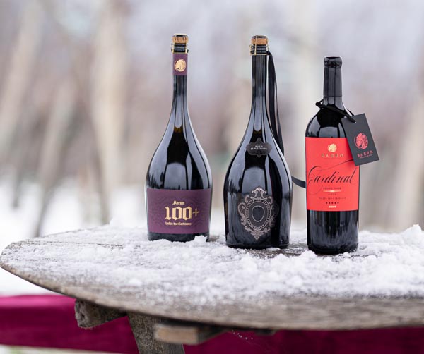 gastro-vino-barun-barundić-modnialmanah