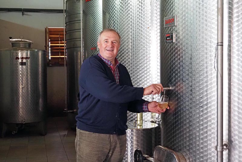 ivine-vinske-priče-šibenik-skradin-vino-wine-enogastro-modnialmanah