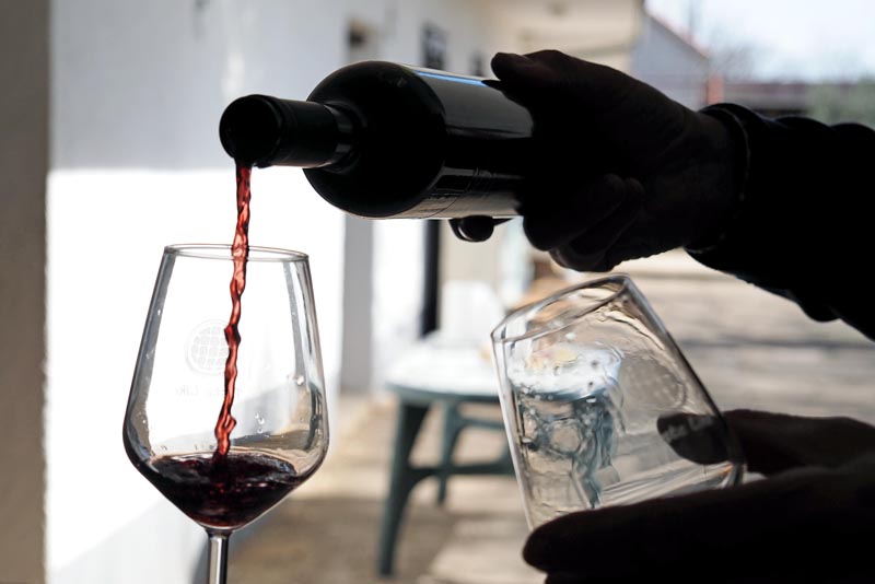 ivine-vinske-priče-šibenik-skradin-vino-wine-enogastro-modnialmanah