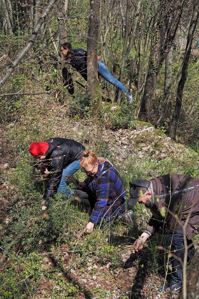 zdravlje-šparoge-zdrava-hrana-oštarija-fortica-modnialmanah