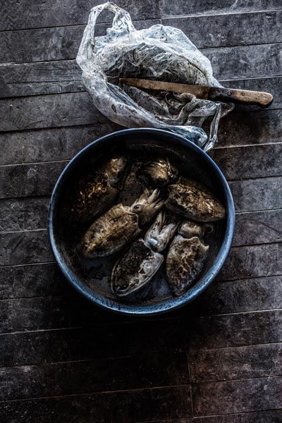 Putevima-rovinjskih-delicija-gastro-modnialmanah