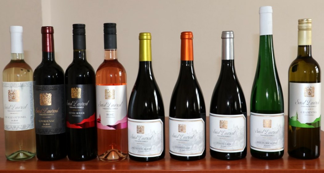 vino-wine-eno-gastro-modnialmanah