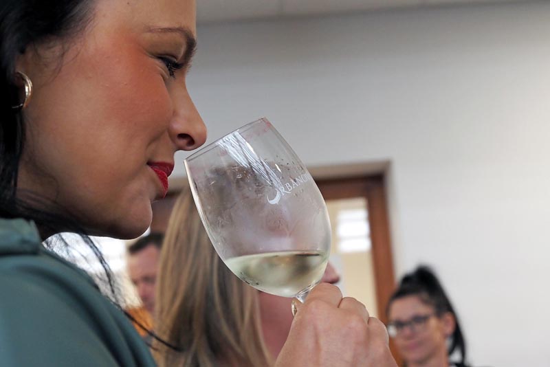 lifestyle-urbanovo-modnialmanah-wine-vino-pušipeleno-gastro-festival-pušipela-hortus-croatiae