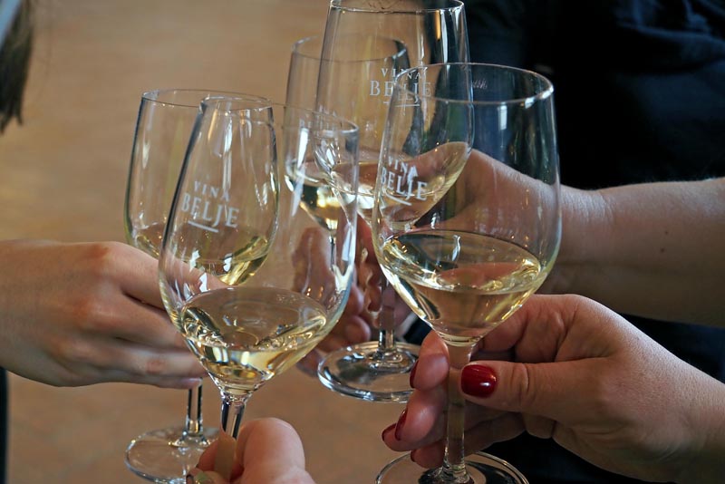 belje-vina-vino-wine-ivine-vinske-priče-modnialmanah