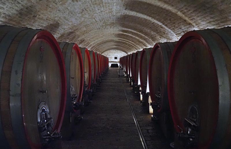 belje-vina-vino-wine-ivine-vinske-priče-modnialmanah