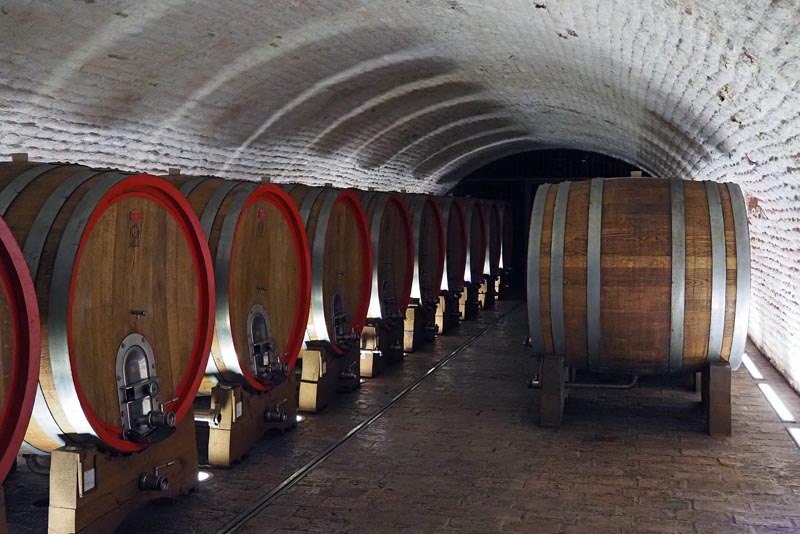 belje-vina-vino-wine-ivine-vinske-priče-modnialmanah