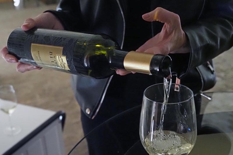 belje-vina-vino-wine-ivine-vinske-priče-modnialmanah