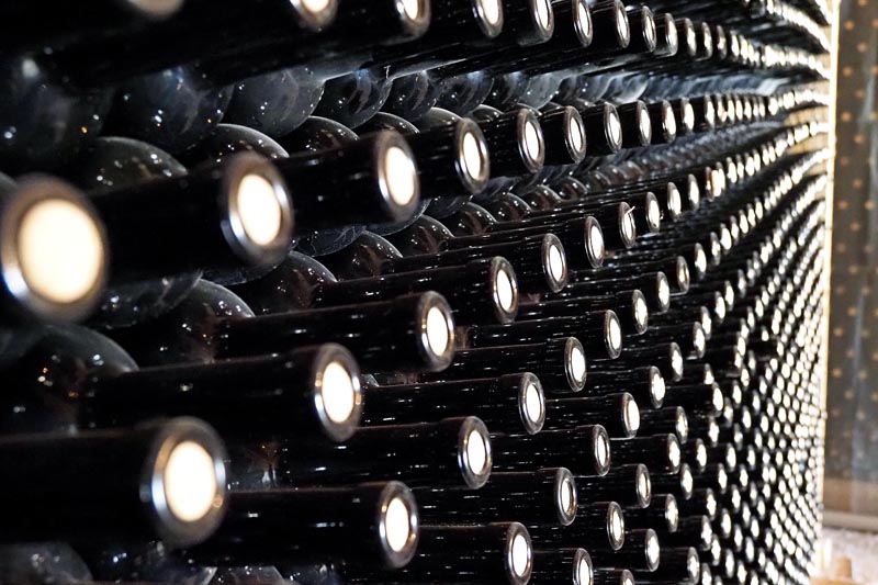 babić-ivine-vinske-priče-ivo-kozarčanin-modnialmanah-vino-wine-1