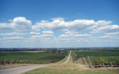 ilok-vukovarsko-srijemska-županija-dunavski-san-modnialmanah-najljepše-od-hrvatske