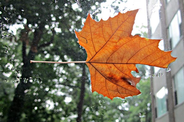 Sretan Vam Prvi Dan Jeseni Modni Almanah Sretan Vam Prvi Dan Jeseni Modni Almanah