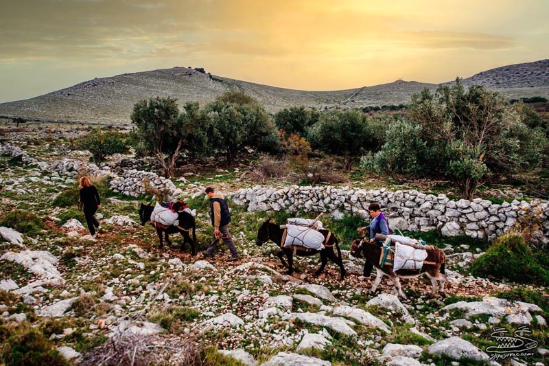 međunarodni-dan-mediterana-zadar-lifestyle-modnialmanah