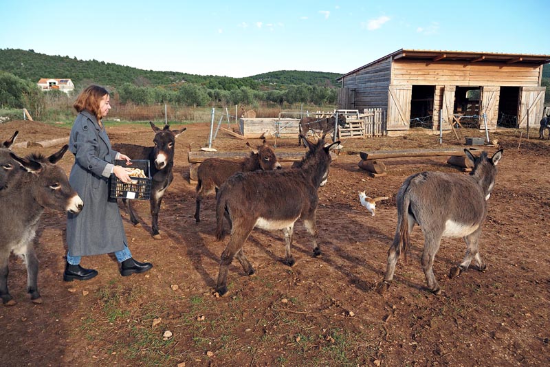 lifestyle-tribunj-advent-šibensko-kninska-županija-modnialmanah-croatia-full-of-life-hrvatska