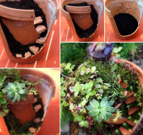 kreativne-vrtlarice-lifestyle-praktični-savjet-modnialmanah