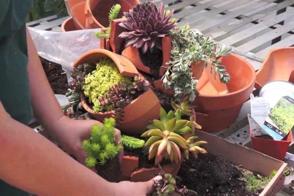 kreativne-vrtlarice-lifestyle-praktični-savjet-modnialmanah