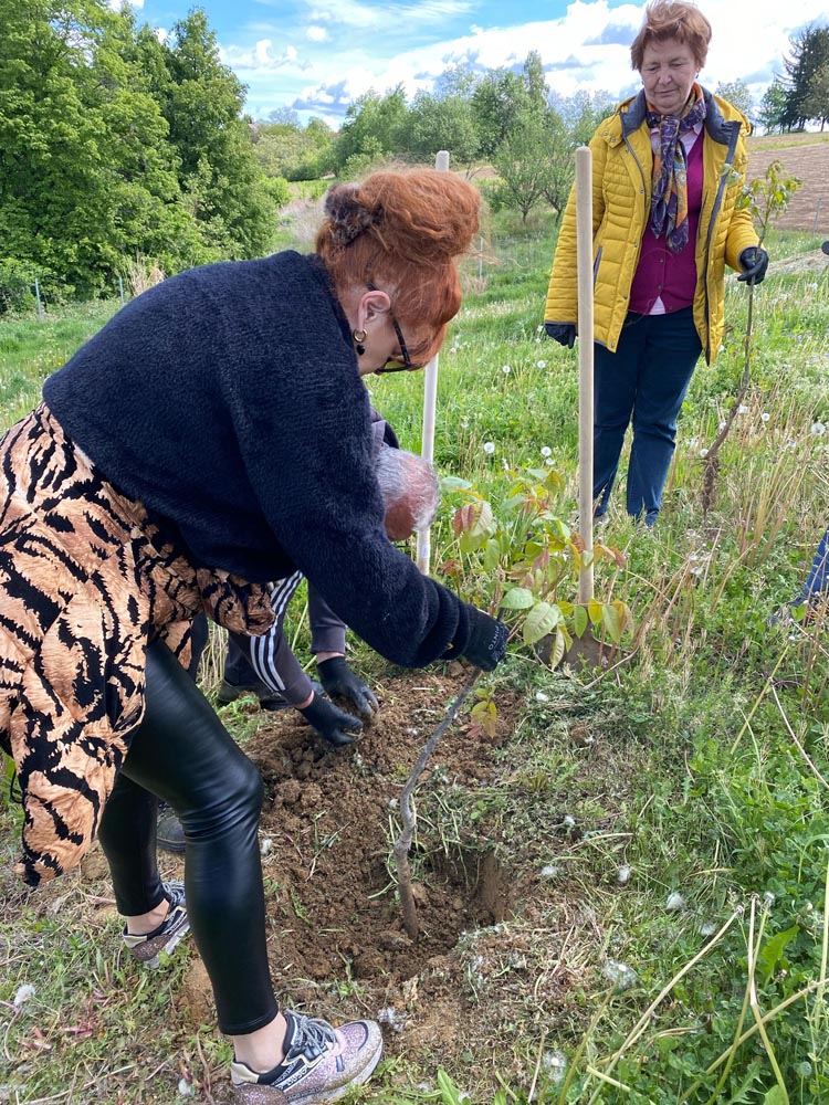 z-cugom-v-zeleno-međimurje-lifestyle-modnialmanah-vikend-green-destination-zeleno-održivost-vlak
