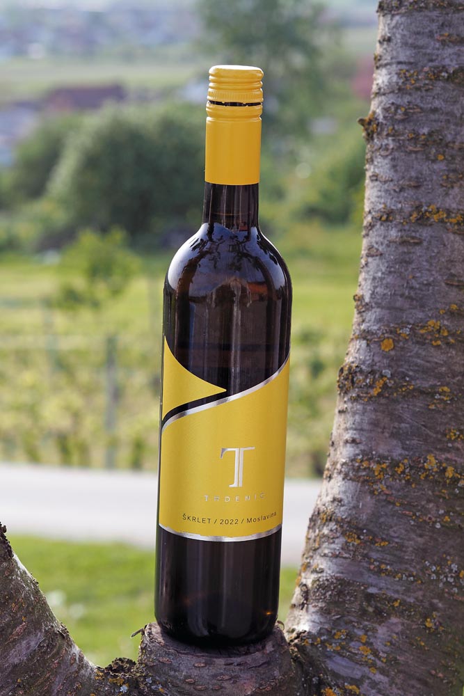 gastro-trdenić-vina-wine-škrlet-black-bull-wagyu-govedina-modnialmanah