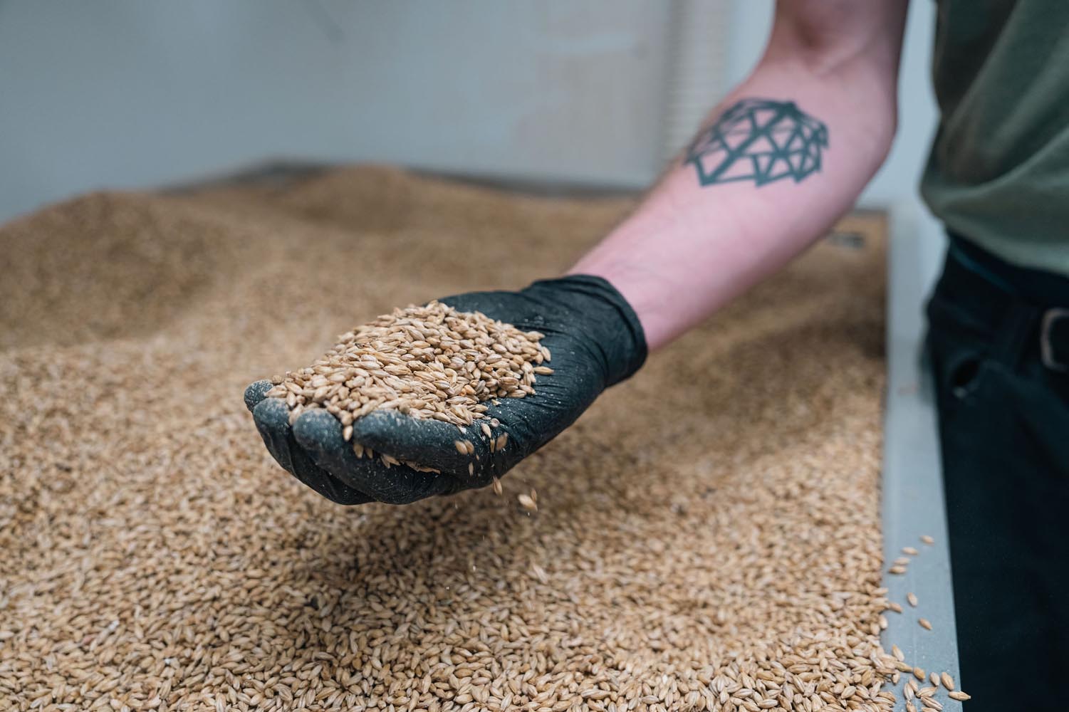 The-Garden-Brewery-pivo-besplatno-modnialmanah