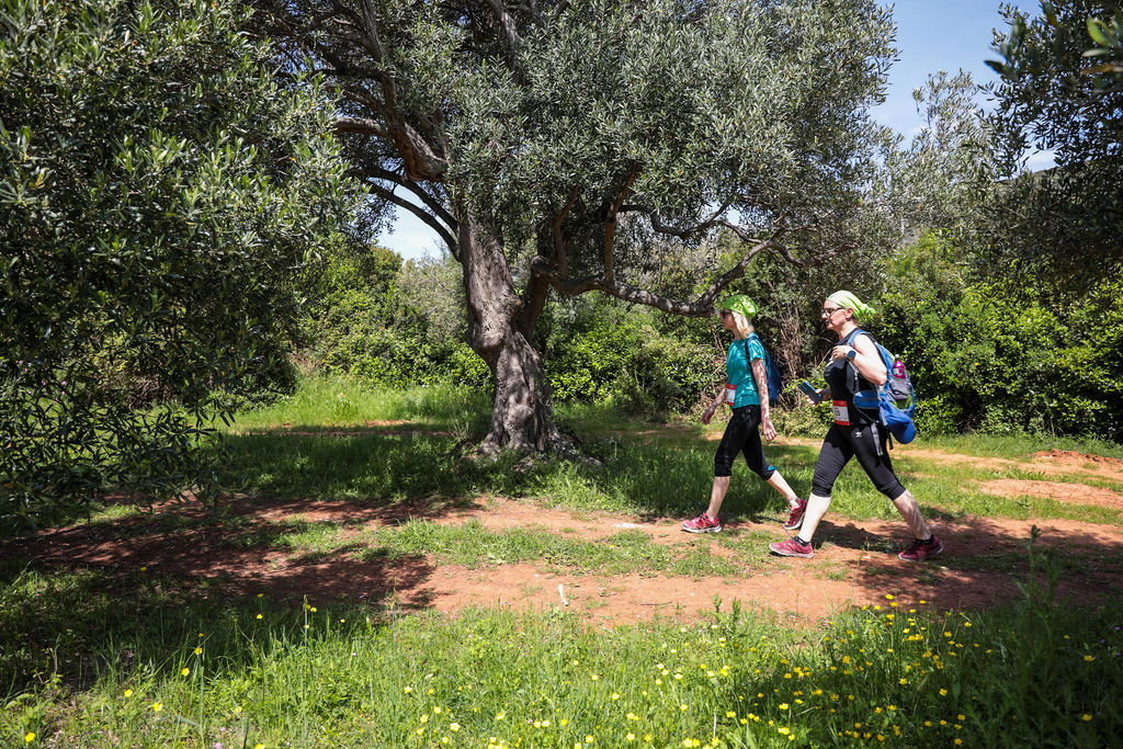 otok-pašman-modnialmanah-lifestyle-turizam