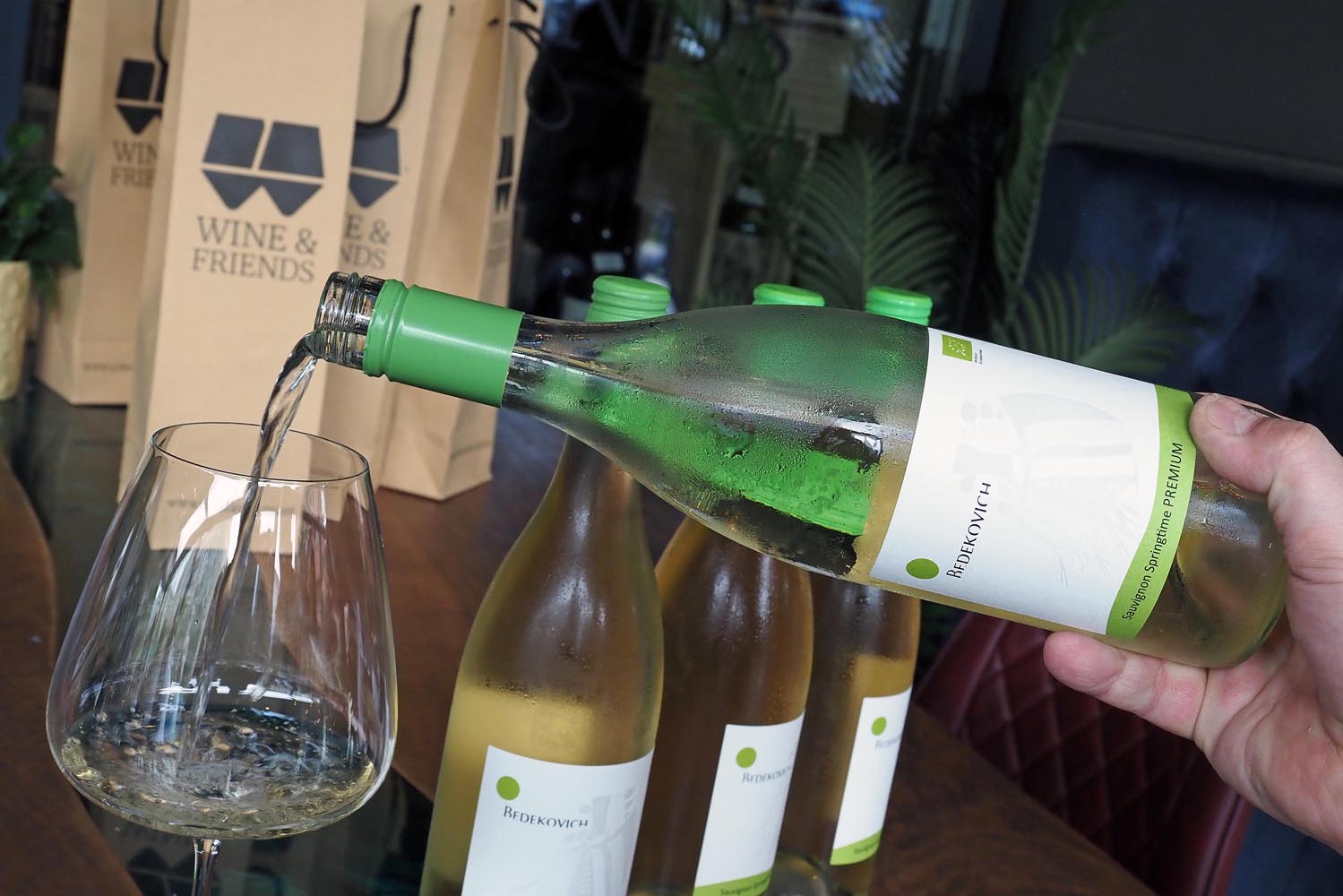 eco-wine-fest-bedenica-vino-wine-modnialmanah-eno-gastro
