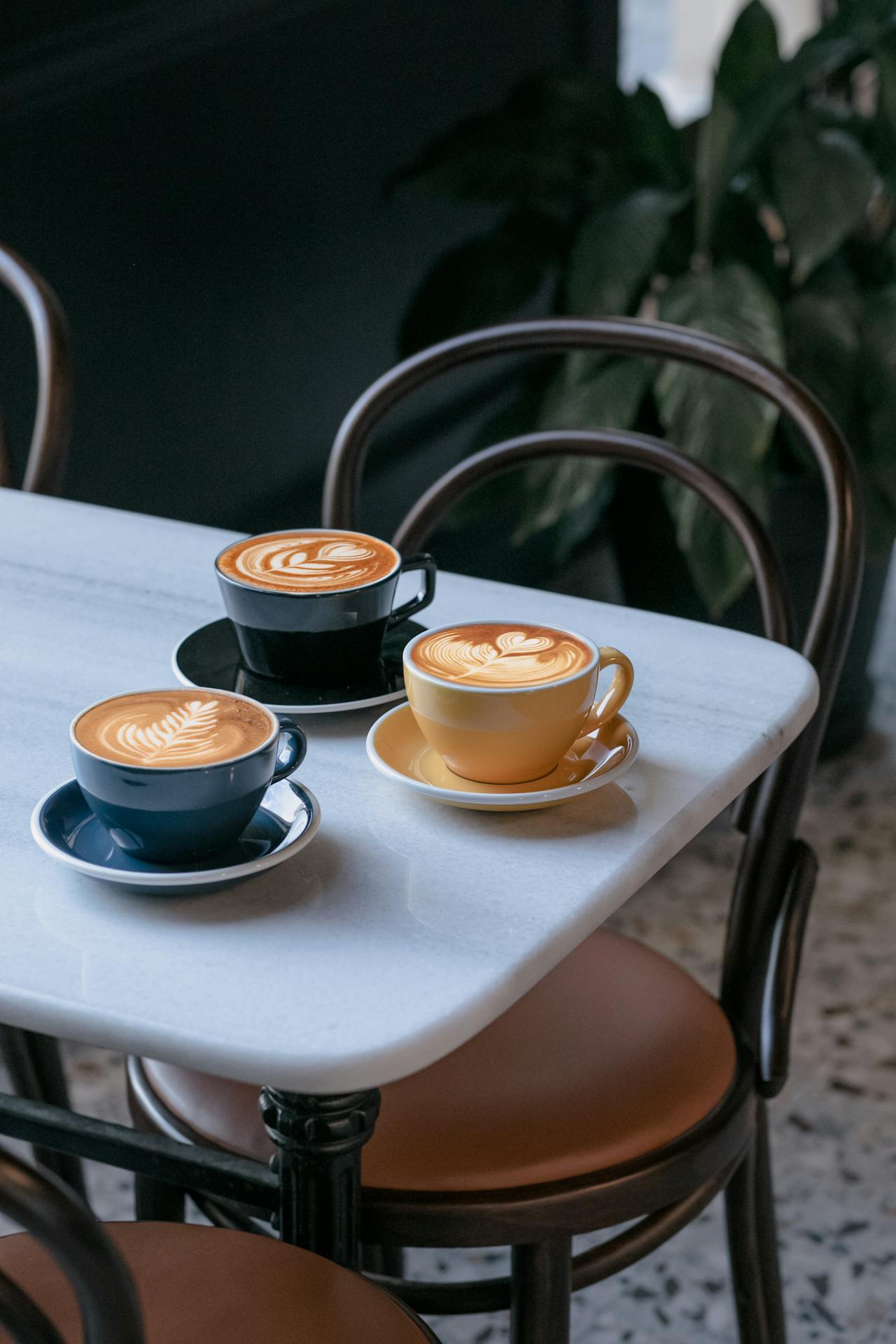 gastro-coffee-kava-pjenicu-modnialmanah
