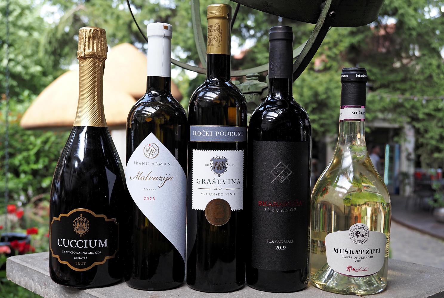 vino-uz-žlicu-botanist-modnialmanah