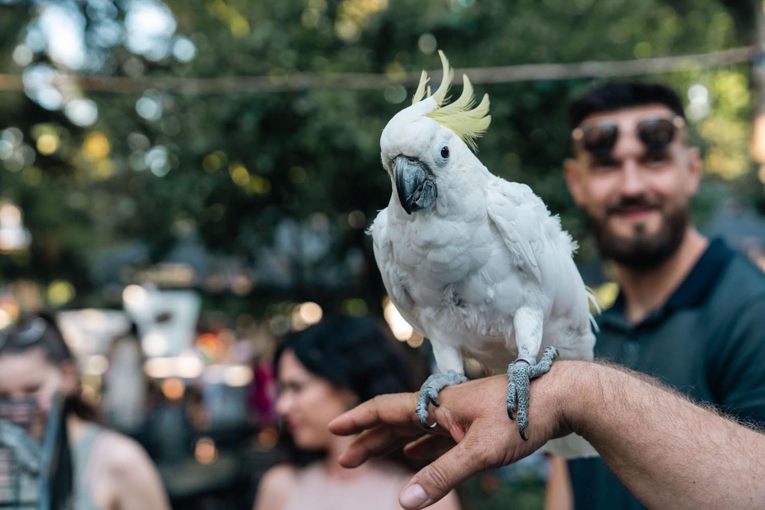 pablo-papiga-rođendan-botanist-modnialmanah-lifestyle